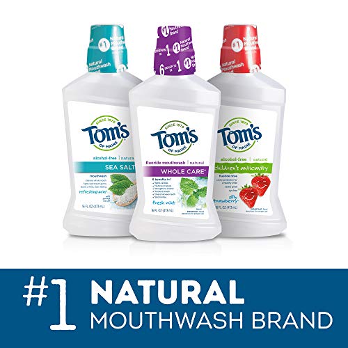 Tom's of Maine Natural Wicked Fresh! Alcohol-Free Mouthwash, Cool Mountain Mi...