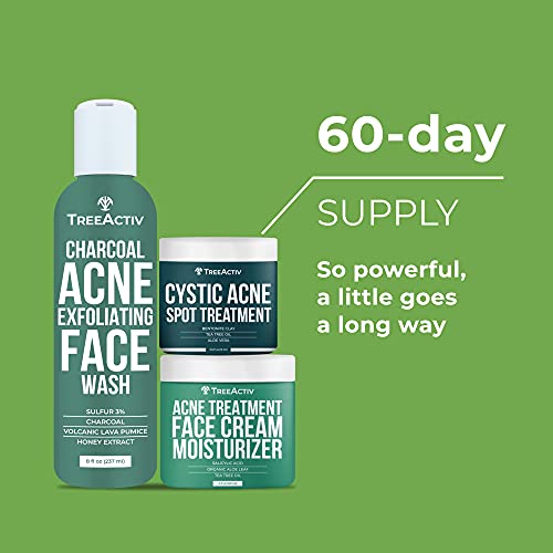 TreeActiv 3-Step Acne Treatment Kit | Charcoal Face Wash, Bentonite Pimple Sp...