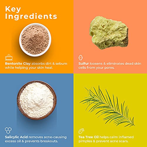 TreeActiv 3-Step Acne Treatment Kit | Charcoal Face Wash, Bentonite Pimple Sp...