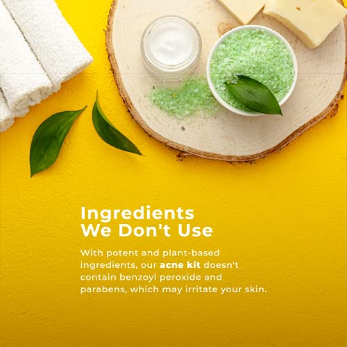 TreeActiv 3-Step Acne Treatment Kit | Charcoal Face Wash, Bentonite Pimple Sp...