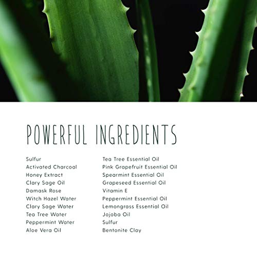 TreeActiv 4-Step Acne Treatment Kit | Sulfur Face Wash Exfoliant, Salicylic A...