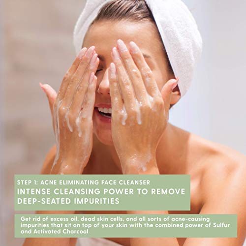 TreeActiv 4-Step Acne Treatment Kit | Sulfur Face Wash Exfoliant, Salicylic A...