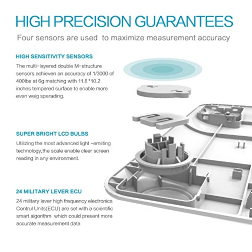 Triomph Digital Body Weight Bathroom Scale - Upgraded High Accuracy Measureme...