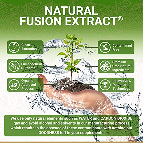 Organic Amla Capsules – Vitamin C | USDA Organic Certified | Whole Food Plant...