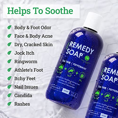 Remedy Soap Tea Tree Body Wash - Pack of 2 | Helps Wash Away Body Odor, Sooth...