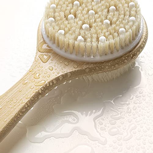 Dual-Sided Long Handle Shower Brush with Soft and Stiff Bristles,Tukuos Back ...