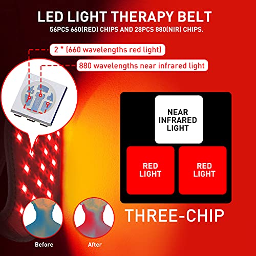 Infrared &Red Light Therapy Devices: Pain Relief 880NM LED Neck Pain Fatigue ...