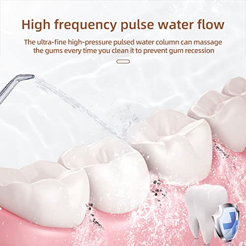Cordless Dental Water Flosser, Oral Irrigator with 3 Modes 4 Jet Tips, IPX7 W...
