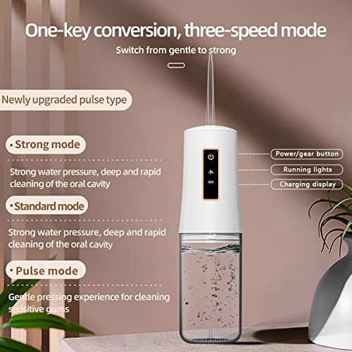 Cordless Dental Water Flosser, Oral Irrigator with 3 Modes 4 Jet Tips, IPX7 W...