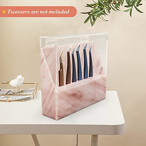#N/A Acrylic Tweezers Shelf Holder for Beauty Salon, Dressing Table, Beauty T...