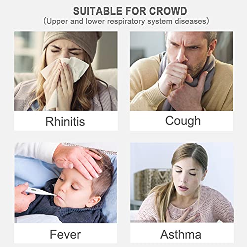 Desktop Nebulizer Machine, Portable Compressor with Exquisite Design, Pro Com...