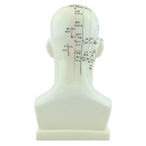 Acupuncture Human Head Model 9'' Height
