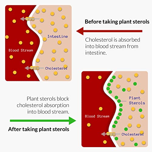 Citrus Bergamot Supplement for High Cholesterol & Triglycerides - Plant Stero...