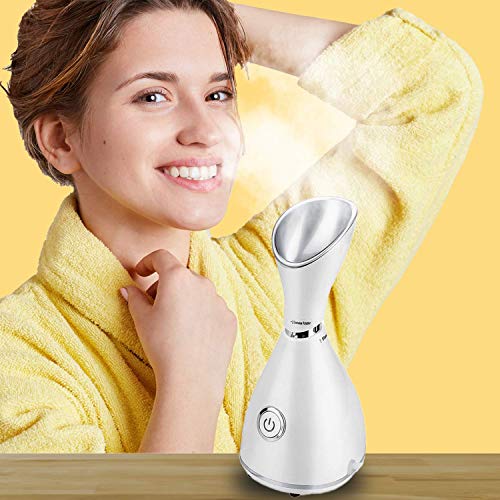 SkinAngel Nano Ionic Facial vaporizer Face Steamer Hot Steamer Face Sprayer B...