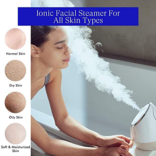 Vanity Planet Aira Ionic Facial Steamer - (Rose Gold) - Pore Cleaner that Det...