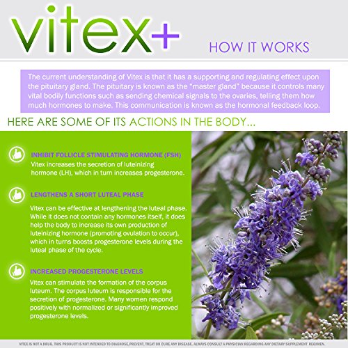 VH Nutrition Vitex+ | 650mg Vitex Chasteberry Supplement for Women - 30 Day S...