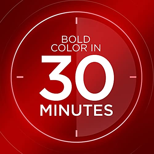 Vidal Sassoon Pro Series Permanent Hair Dye, 2 Black Hair Color, 1 Count