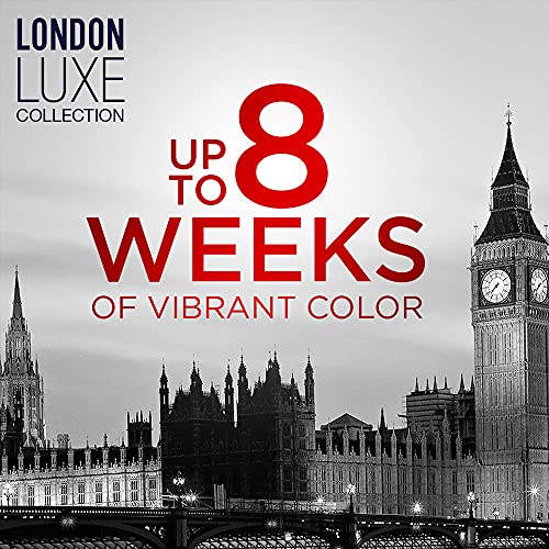 Vidal Sassoon Pro Series Permanent Hair Dye, 2 Black Hair Color, 1 Count