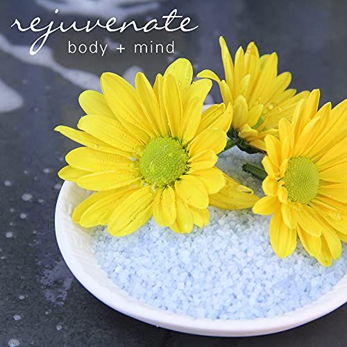 Village Naturals Therapy, Chronic Pain Relief, Bath Soak, 36 oz, Pack of 2