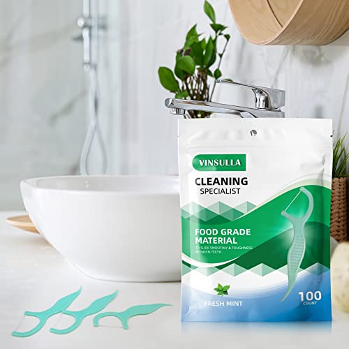 Professional Clean Flossers Extra Strong Flosser Pick, Fresh Mint, 100 Count ...