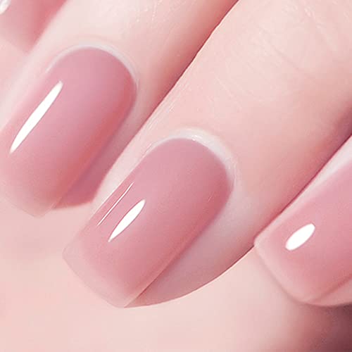 Vishine Nude Gel Polish Kit, Sheer Milky Pink Jelly Transparent Gel Nail Poli...