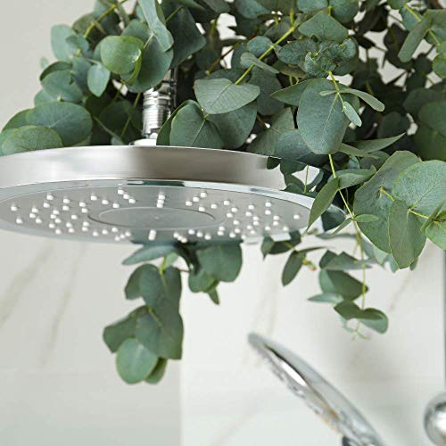 Fresh Shower Eucalyptus Bundle | 100% Natural and Freshly Cut Shower Bunch | ...