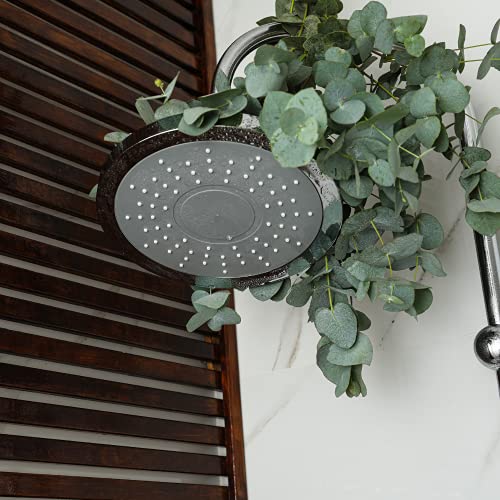 Fresh Shower Eucalyptus Bundle | 100% Natural and Freshly Cut Shower Bunch | ...