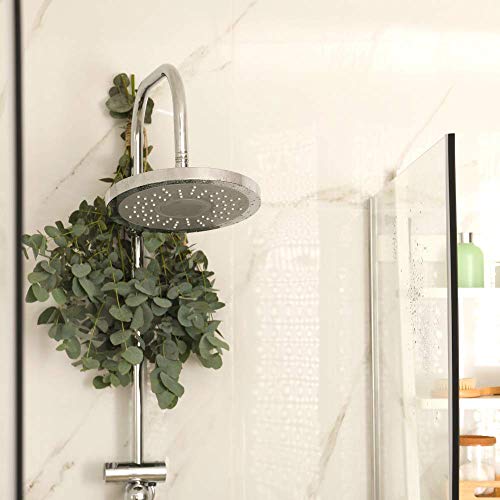 Fresh Shower Eucalyptus Bundle | 100% Natural and Freshly Cut Shower Bunch | ...