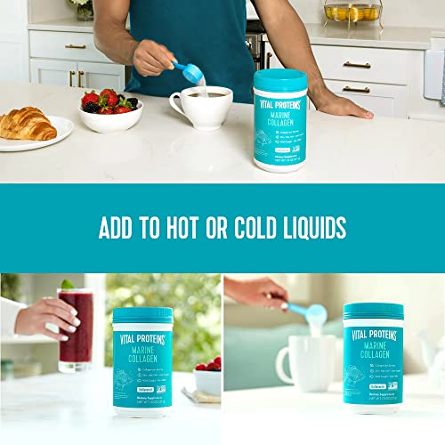 Vital Proteins Marine Collagen Peptides Powder Supplement for Skin Hair Nail ...