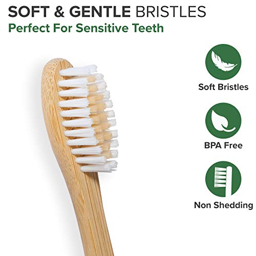 VIVAGO Biodegradable Bamboo Toothbrushes 10 Pack - BPA Free Soft Bristles Too...