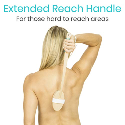 Vive Body Brush Set (3 Piece) - Wash Scrub Exfoliator - Dry Brushing with Nat...