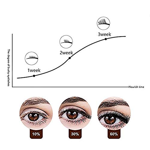 Voibella Eyelash Growth Serum and Eyebrow Enhancer 8.87ML - Best Natural Eye ...