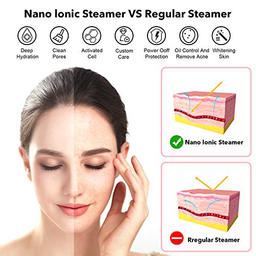 Portable Nano Ionic Facial Steamer Warm Mist Face Cleaner Home Skin Spa Steam...