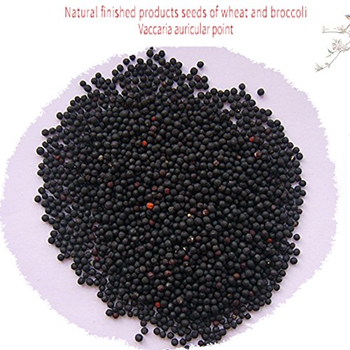 600 Counts Acupuncture Vaccaria Needle Ear Seeds Massage Paste Ear Stickers A...