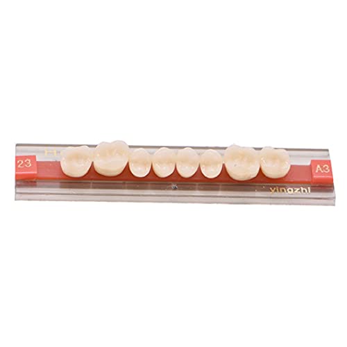 84 Pcs Dental Synthetic Resin Tooth Denture 3 Sets False Teeth for Halloween ...