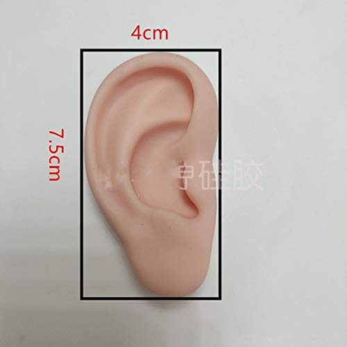 WellieSTR 1 Pair Ear Model Silicone Ear Acupuncture Practice Model Right and ...