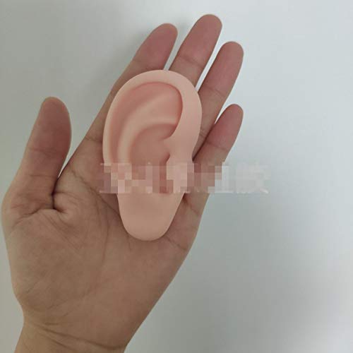 WellieSTR 1 Pair Ear Model Silicone Ear Acupuncture Practice Model Right and ...