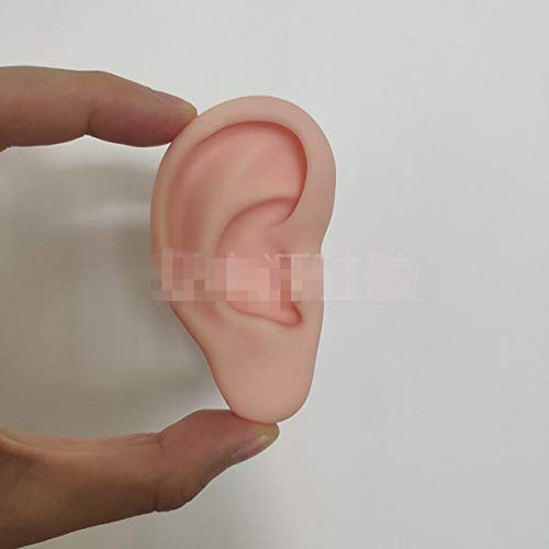WellieSTR 1 Pair Ear Model Silicone Ear Acupuncture Practice Model Right and ...