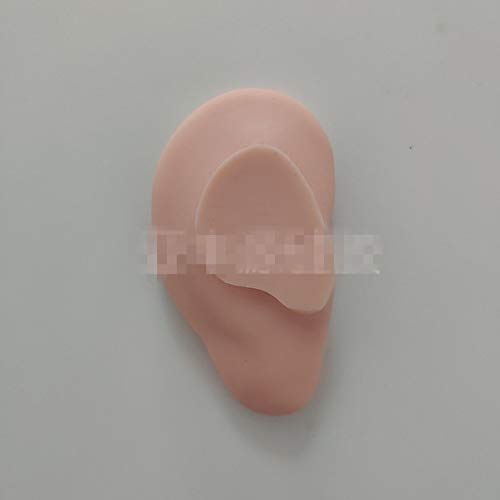 WellieSTR 1 Pair Ear Model Silicone Ear Acupuncture Practice Model Right and ...