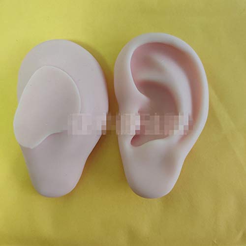 WellieSTR 1 Pair Ear Model Silicone Ear Acupuncture Practice Model Right and ...
