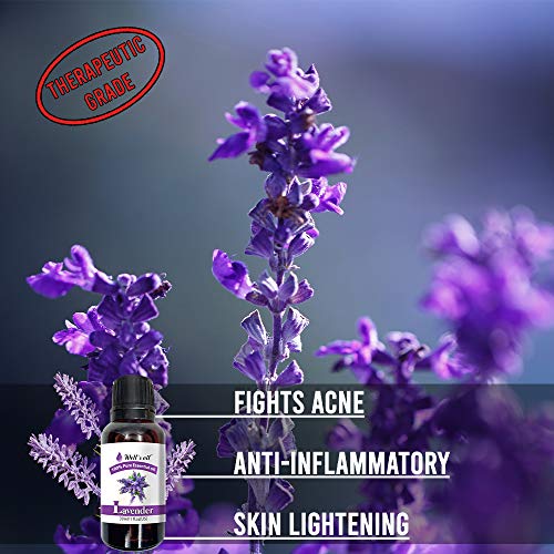 Well's 100% Pure Lavender Essential Oil 1oz(30ml), Therapeutic Grade, Massage...