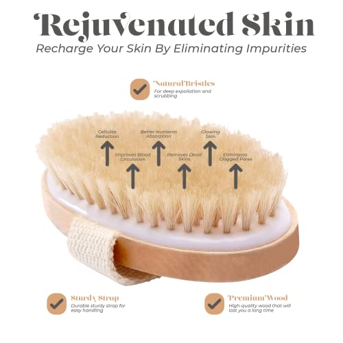 Dry Skin Body Brush - Improves Skin's Health and Beauty - Natural Bristle - R...