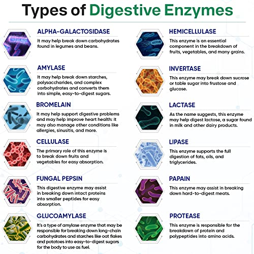 Digestive Enzymes 1000MG Plus Prebiotics & Probiotics Supplement, 180 Capsule...