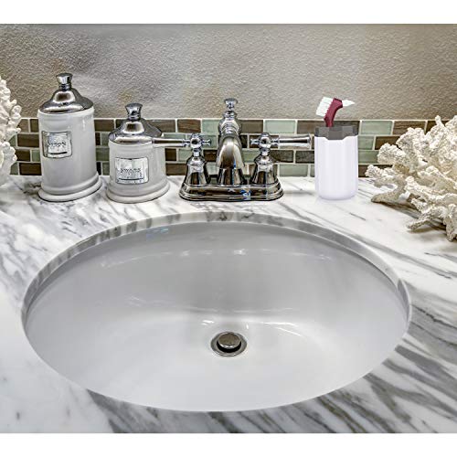 6 Pieces Hard Denture Brush Denture Toothbrush Cleaning Brush with White Carr...