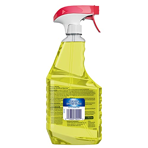 Windex Multi-Surface Cleaner and Disinfectant Spray Bottle, Scent, Citrus Fre...
