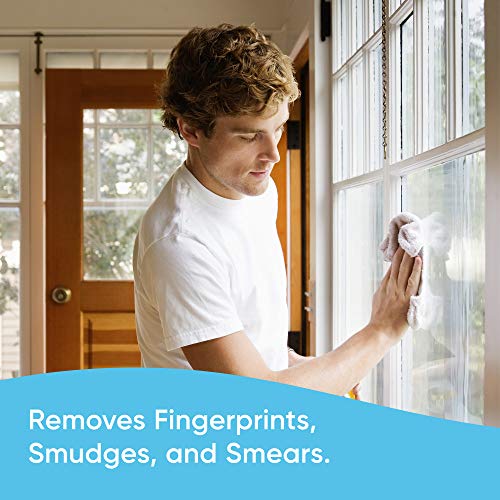 Windex Multi-Surface Cleaner and Disinfectant Spray Bottle, Scent, Citrus Fre...