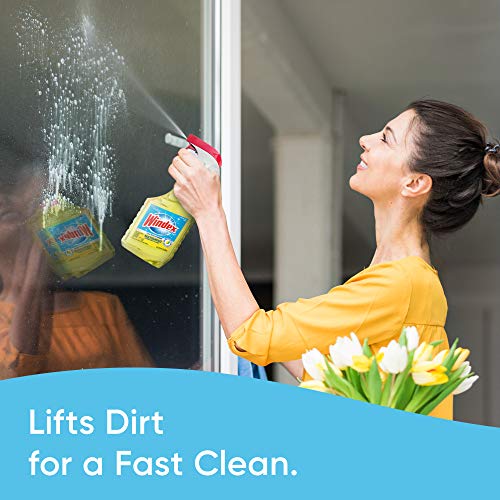 Windex Multi-Surface Cleaner and Disinfectant Spray Bottle, Scent, Citrus Fre...