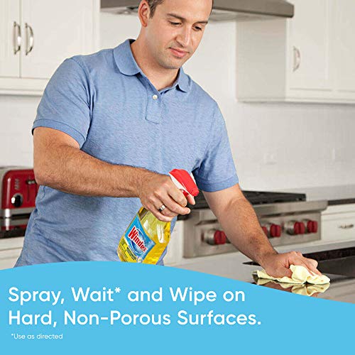Windex Multi-Surface Cleaner and Disinfectant Spray Bottle, Scent, Citrus Fre...