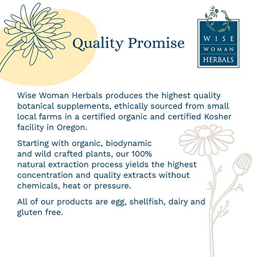 Wise Woman Herbals – Mullein & Garlic Oil Compound – All-Natural Topical Ear ...
