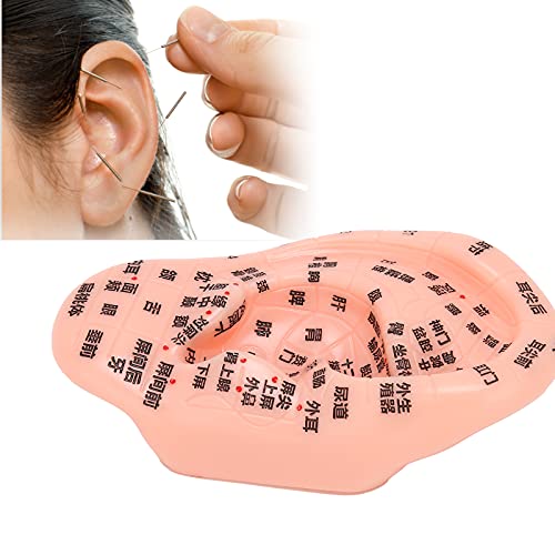 Ear Zone Model, Comfortable Touching Human Ear Acupuncture Model Ear Acupoint...
